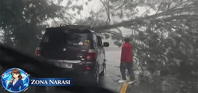 Hujan Deras Pohon Tumbang Tutup Akses Puncak Bogor